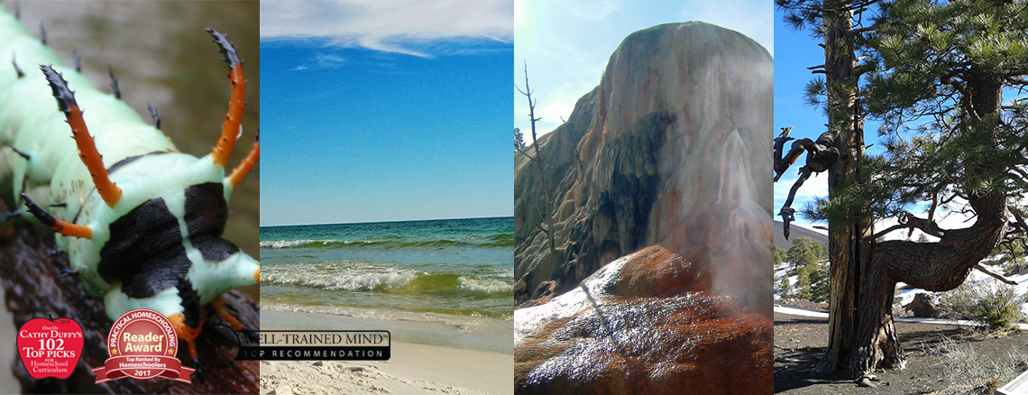 Rhetoric Stage Science from Elemental Science