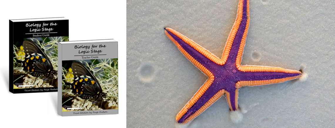 Biology for the Logic Stage