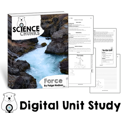 Science Chunks Force Unit