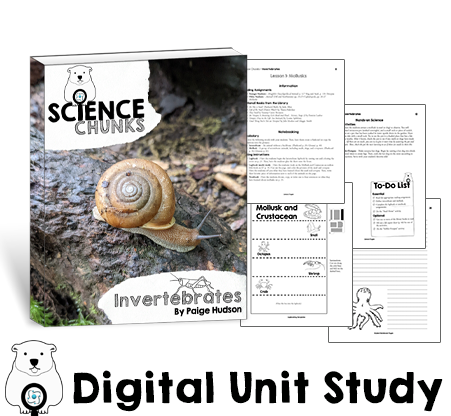 Science Chunks Invertebrates Unit | Elemental Science
