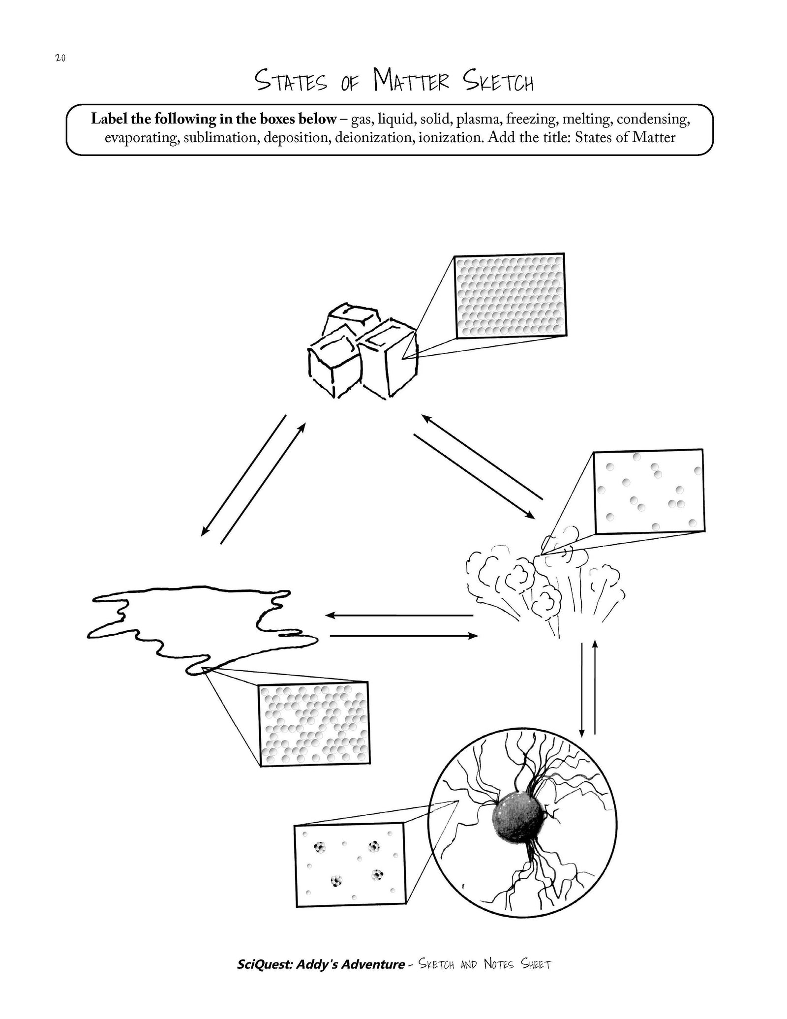 SciQuest 200: Addy's Adventure Lab Journal