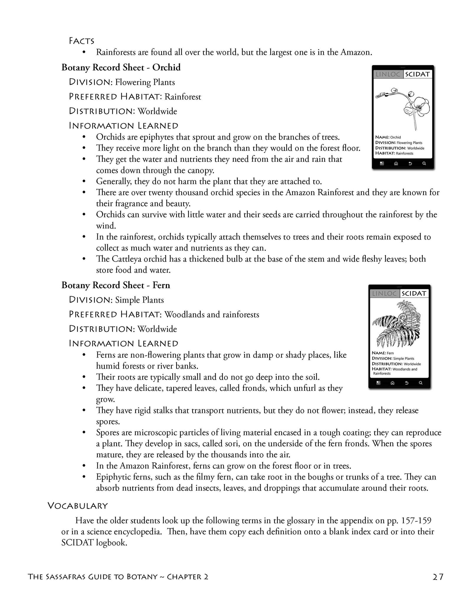 The Sassafras Guide to Botany | Elemental Science