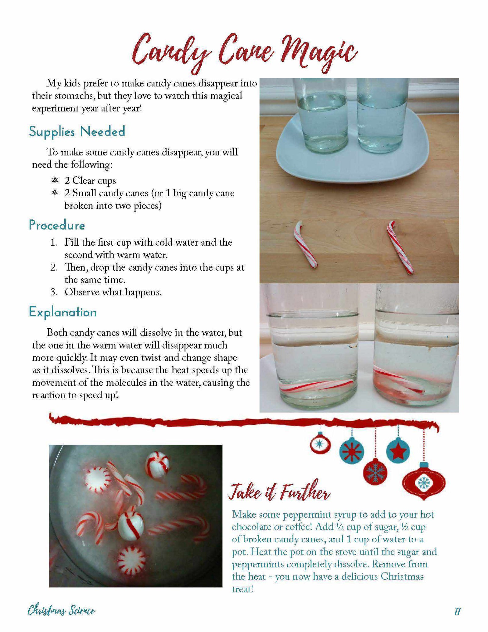Activities for Christmas Science