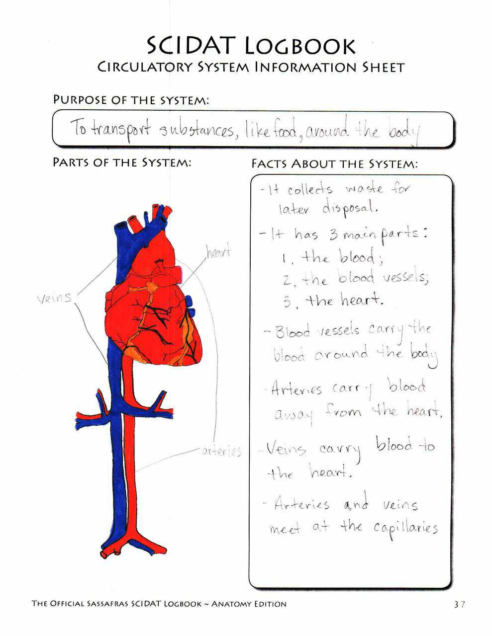 The Official Sassafras SCIDAT Logbook: Anatomy Edition | Elemental Science