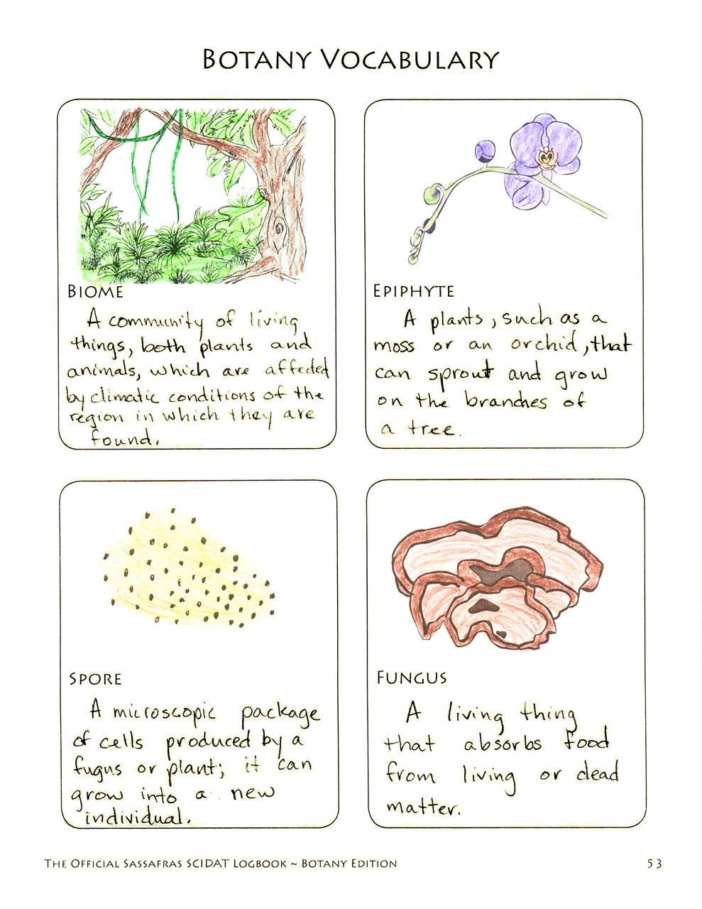 The Official Sassafras SCIDAT Logbook: Botany Edition | Elemental Science