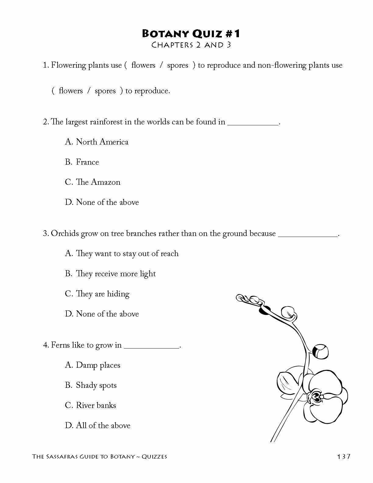 The Sassafras Science Adventures Volume 3: Botany Printed Combo | Elemental Science
