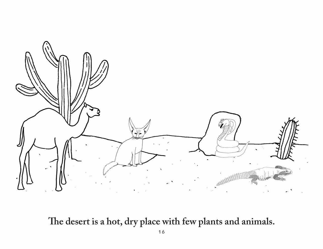 Sassafras Science Zoology Coloring Pages by Elemental Science