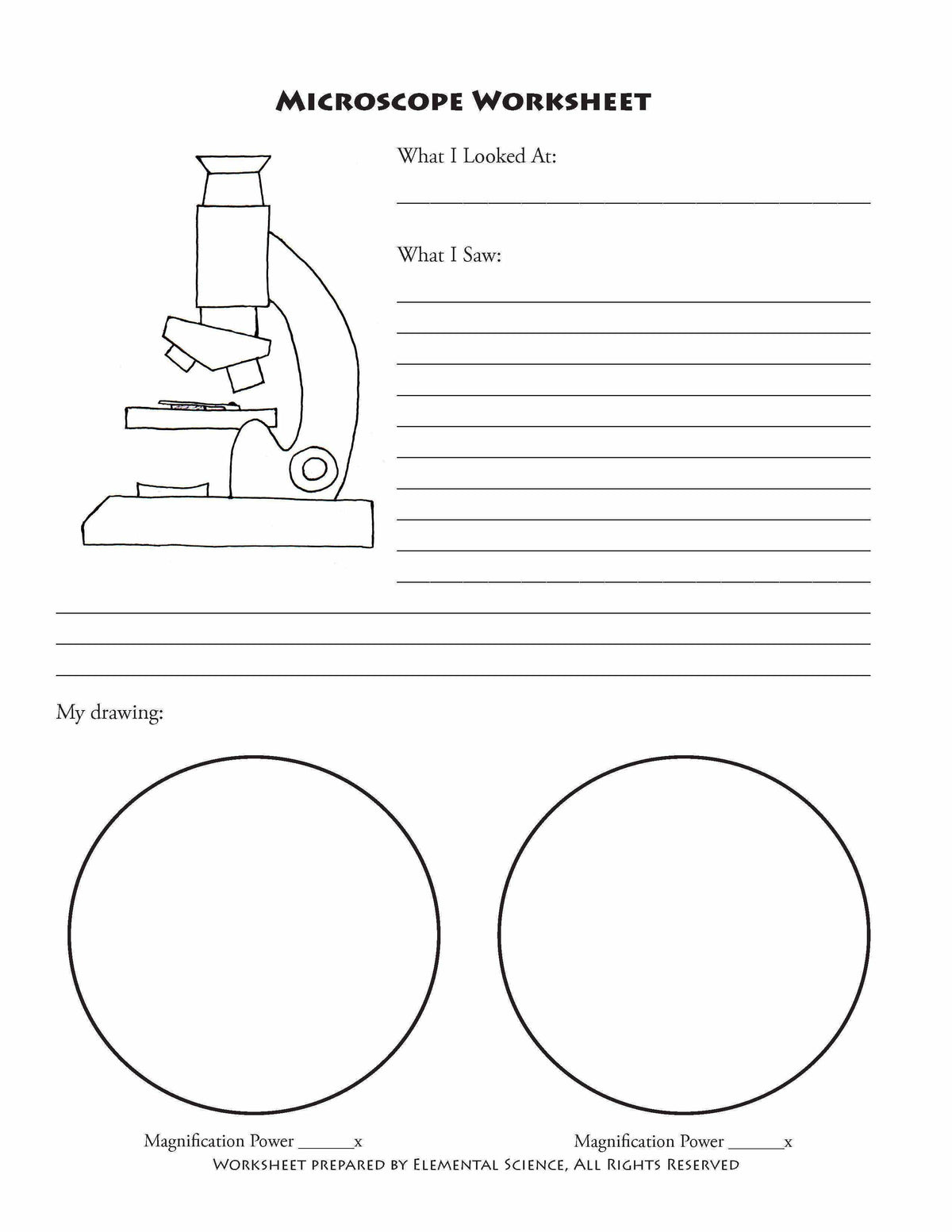 Our Products - Free Microscope Notebooking Printables