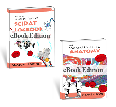 The Sassafras Science Adventures Volume 2: Anatomy (eBook Combo).
