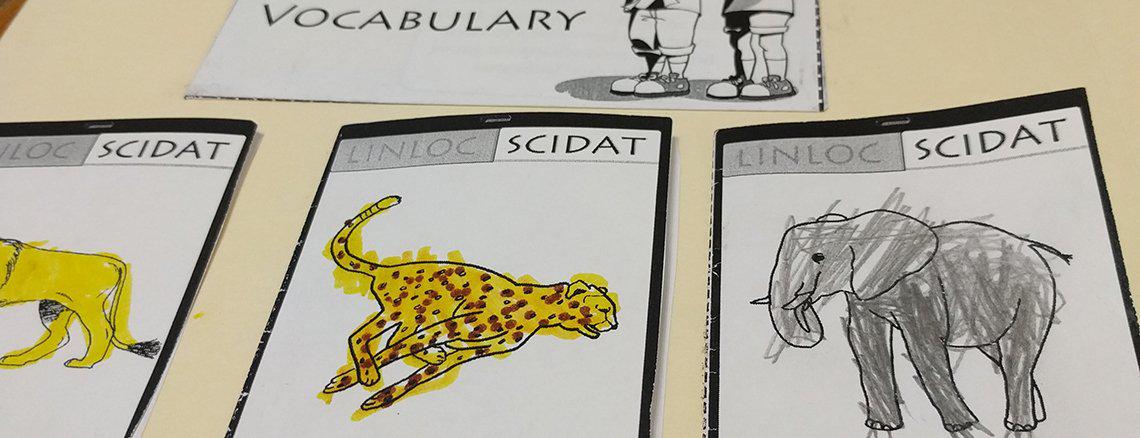 The Sassafras Science Lapbooking Guides