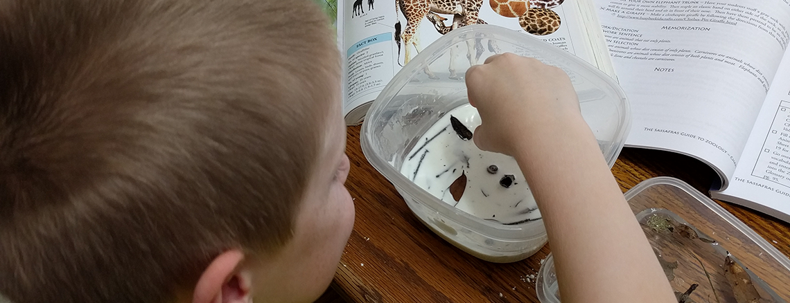 Elementary Science Programs from Elemental Science