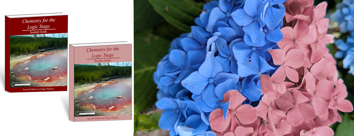 Chemistry for the Logic Stage