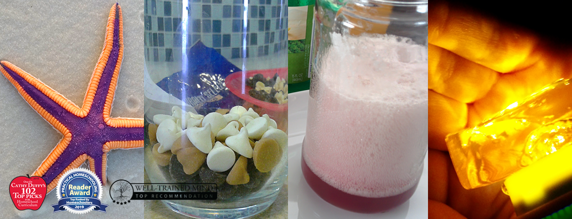 Logic Stage Science from Elemental Science