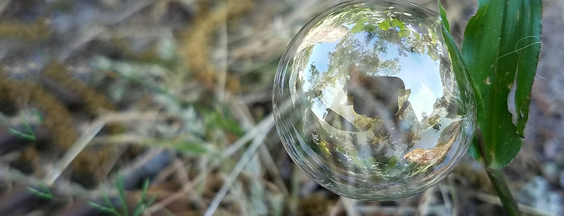 Chemistry Programs from Elemental Science