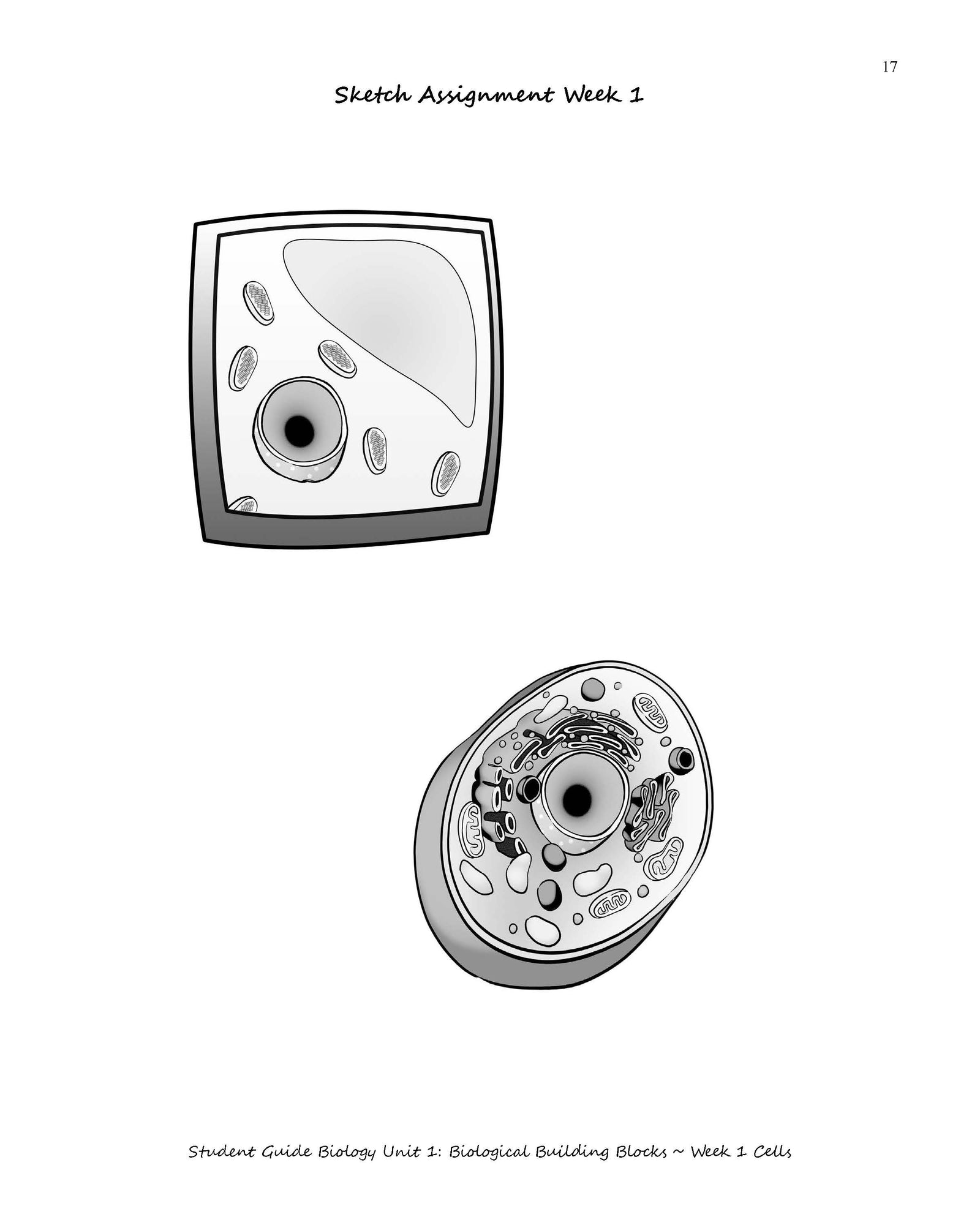 Biology for the Logic Stage eBook Combo (3rd Edition)