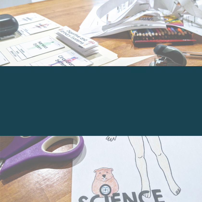 Homeschool science for multiple age groups