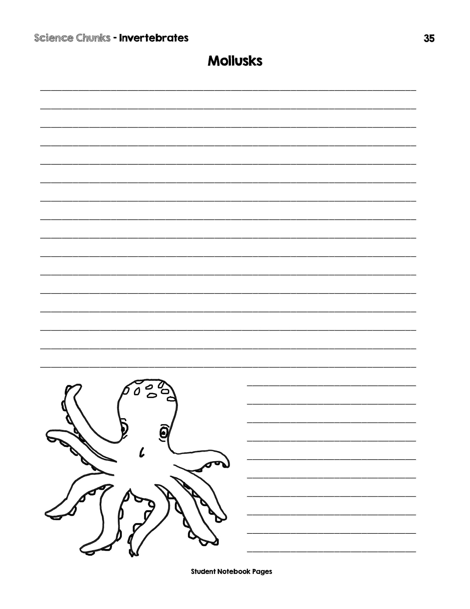Science Chunks Invertebrates Unit | Elemental Science