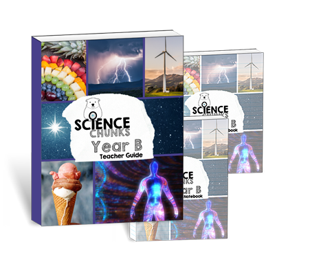 Science Chunks Year B Printed Bundle