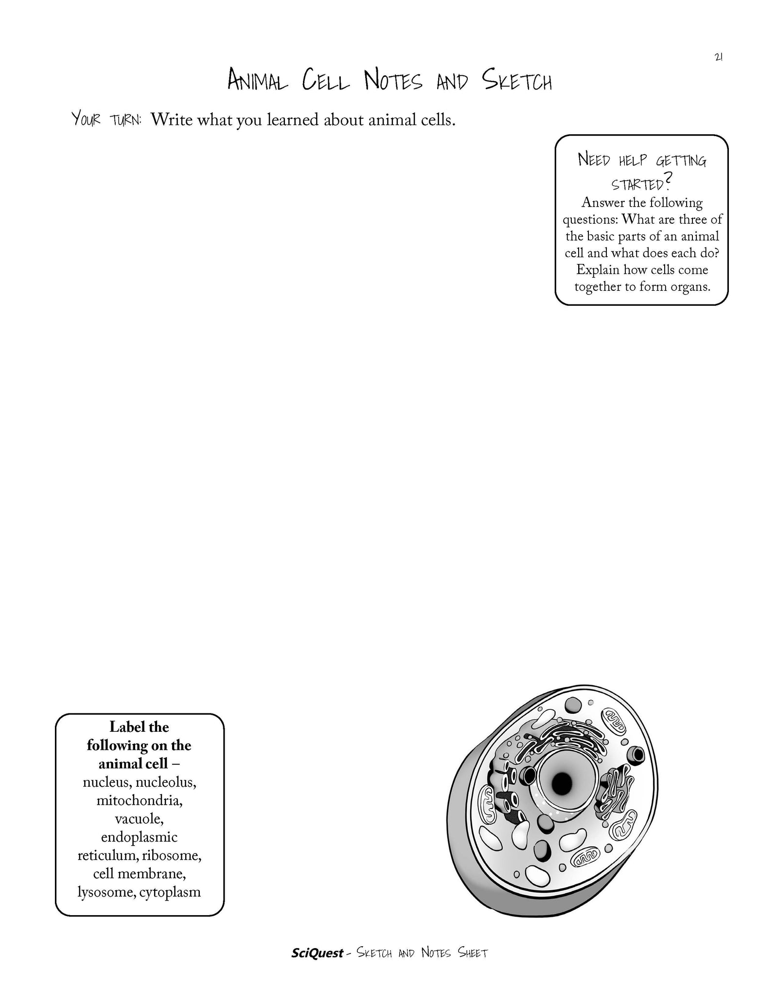 SciQuest 100: Milo's Mission Lab Journal