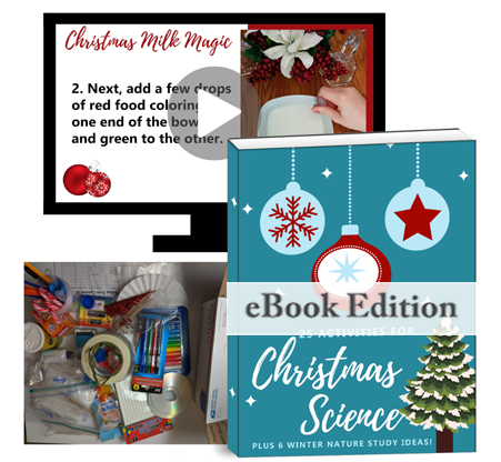 25 Activities for Christmas Science Bundle