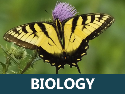 biology homeschool curriculum