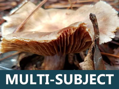 homeschool science curriculum