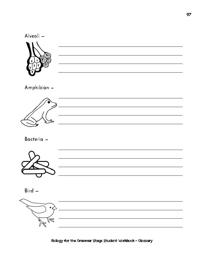 Biology for the Grammar Stage - ebook