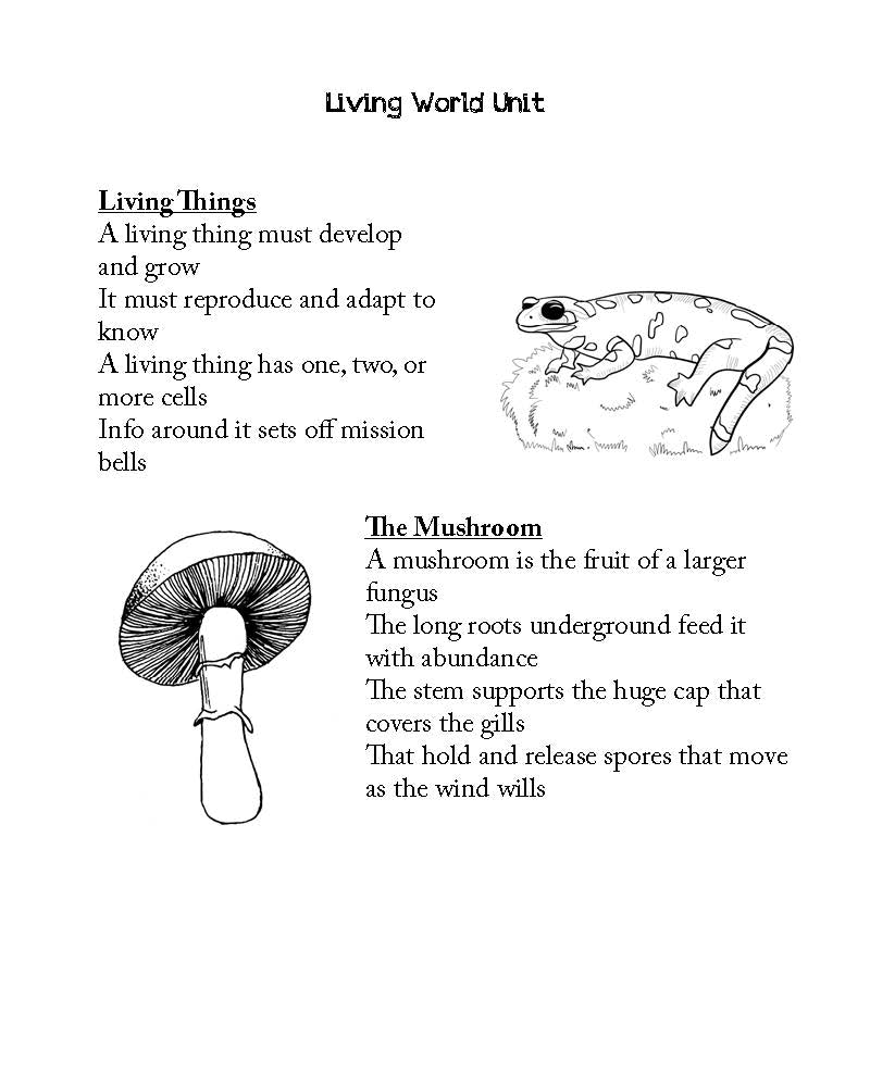 Grammar Stage Printed Combo for Biology