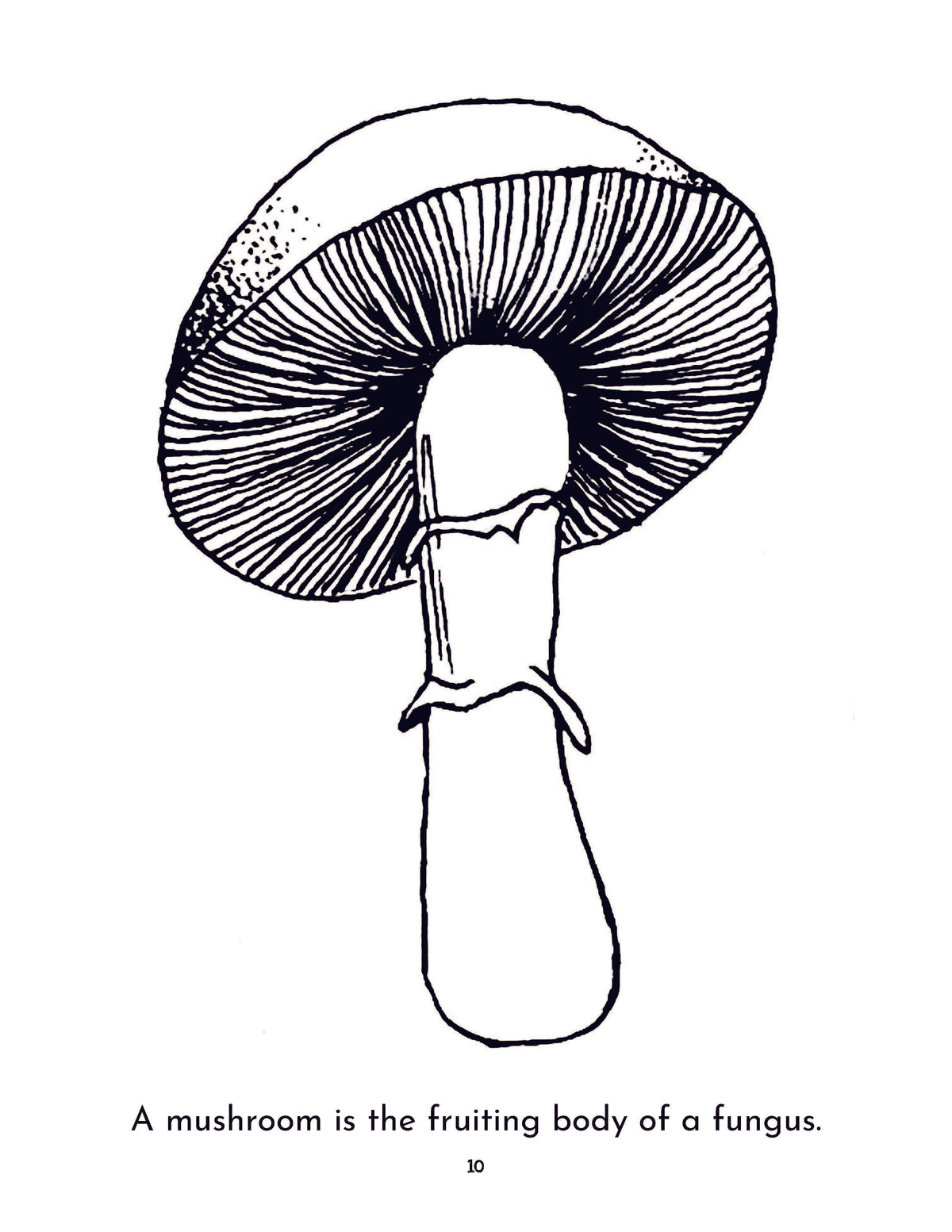 Grammar Stage Co-op Package for Biology