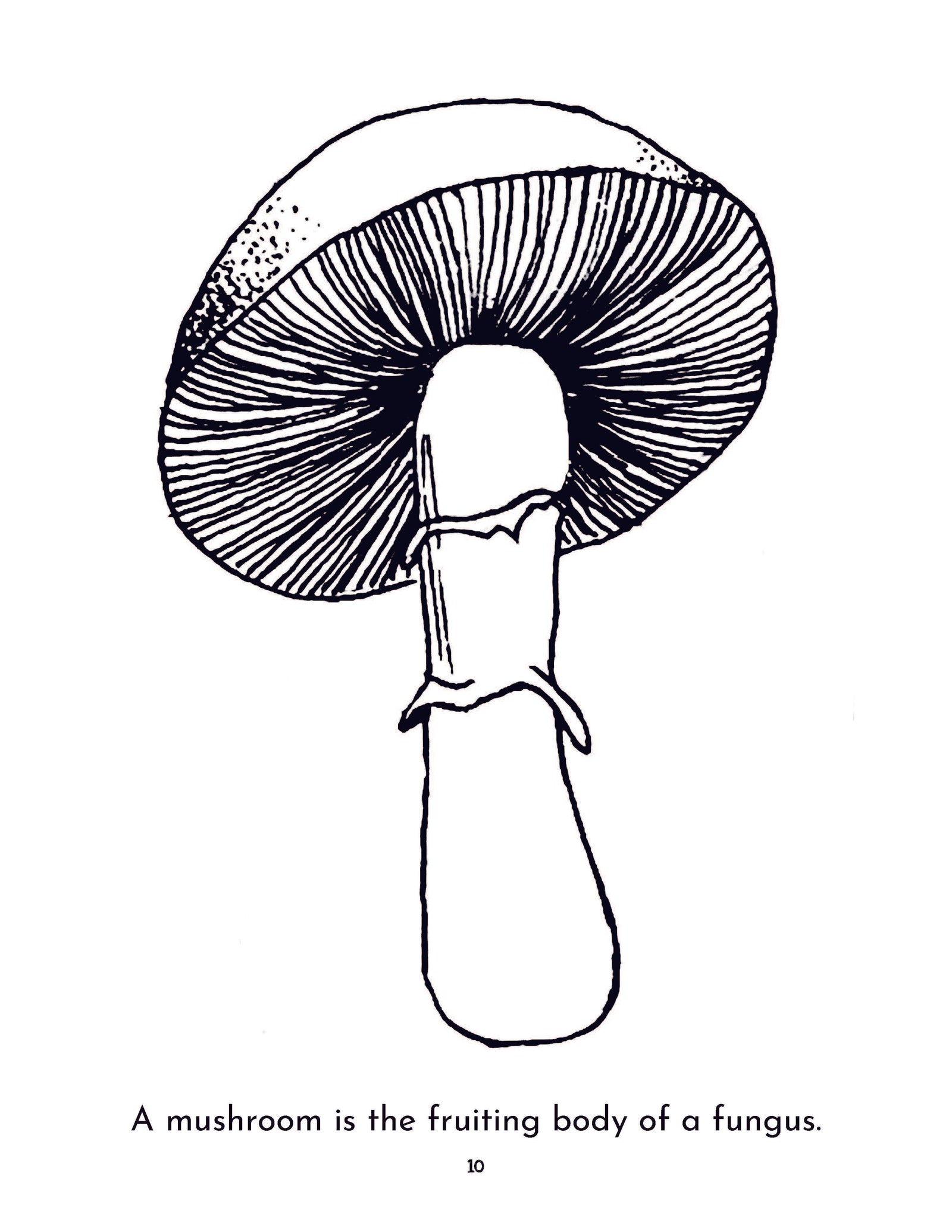 Grammar Stage Co-op Package for Biology