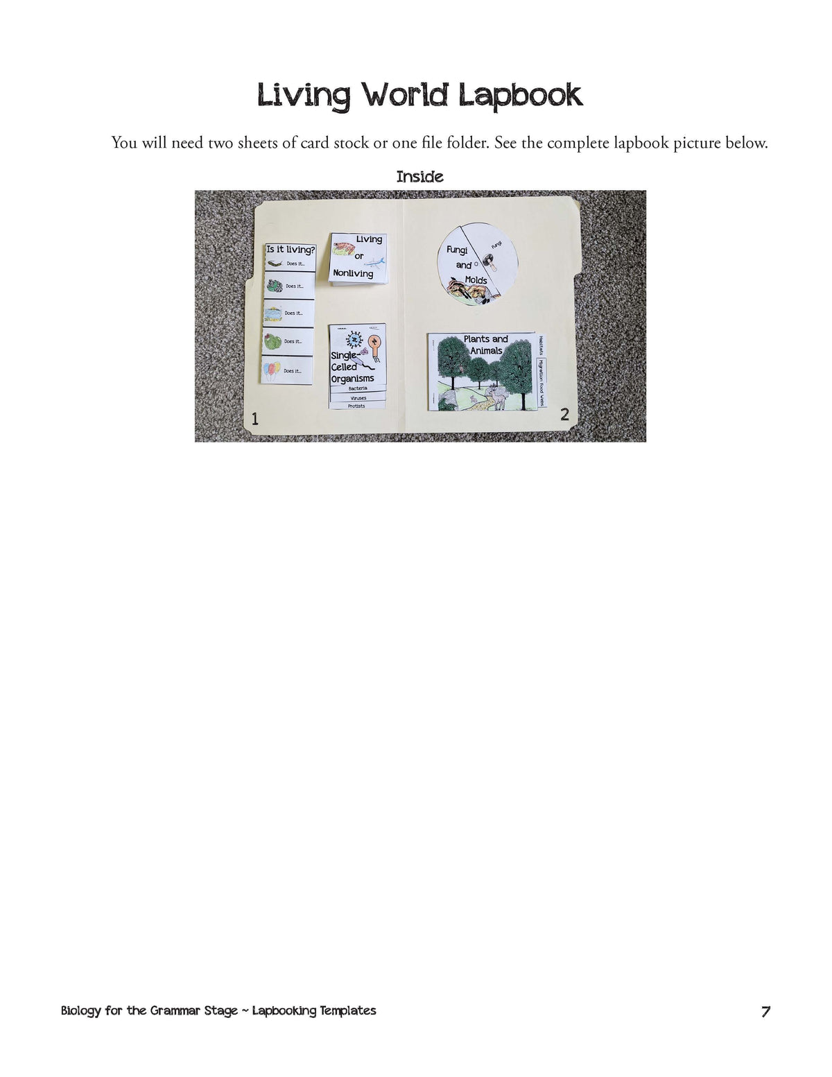 Grammar Stage Lapbooking Templates for Biology