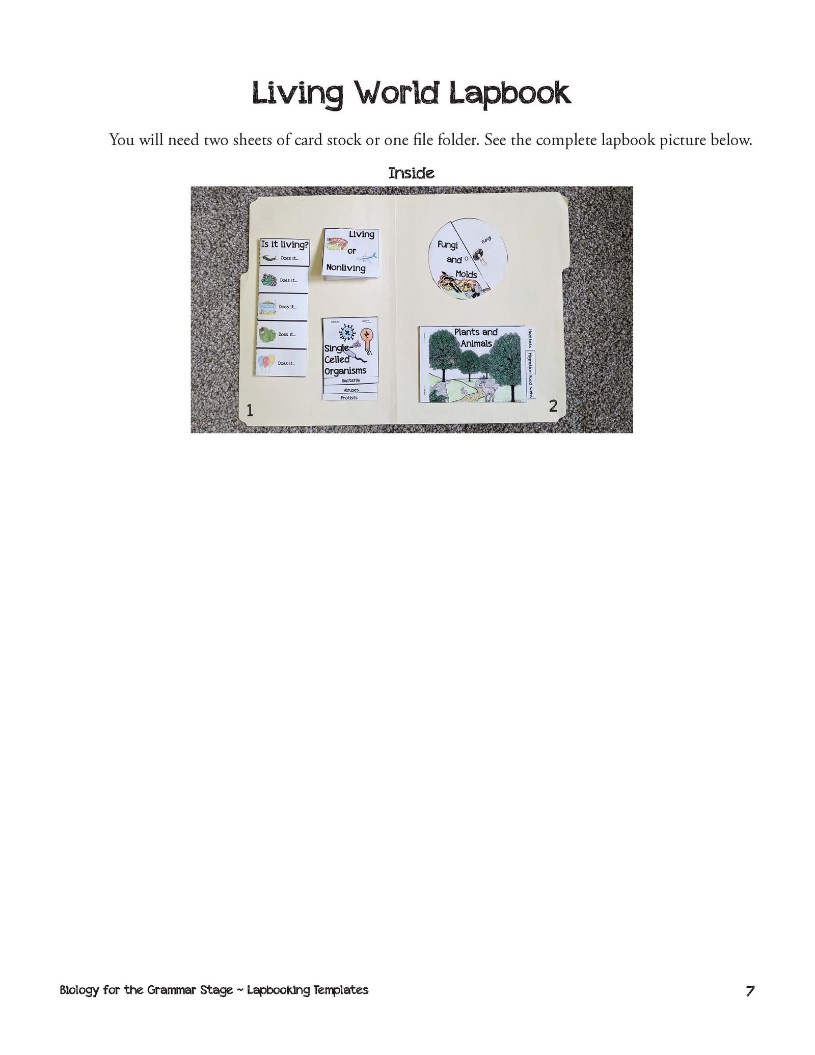 Grammar Stage Lapbooking Templates for Biology