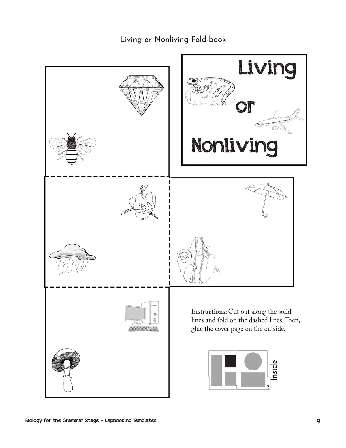 Grammar Stage Lapbooking Templates for Biology