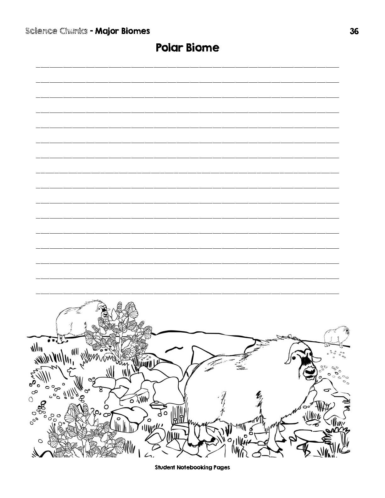 Science Chunks Major Biomes Unit | Elemental Science