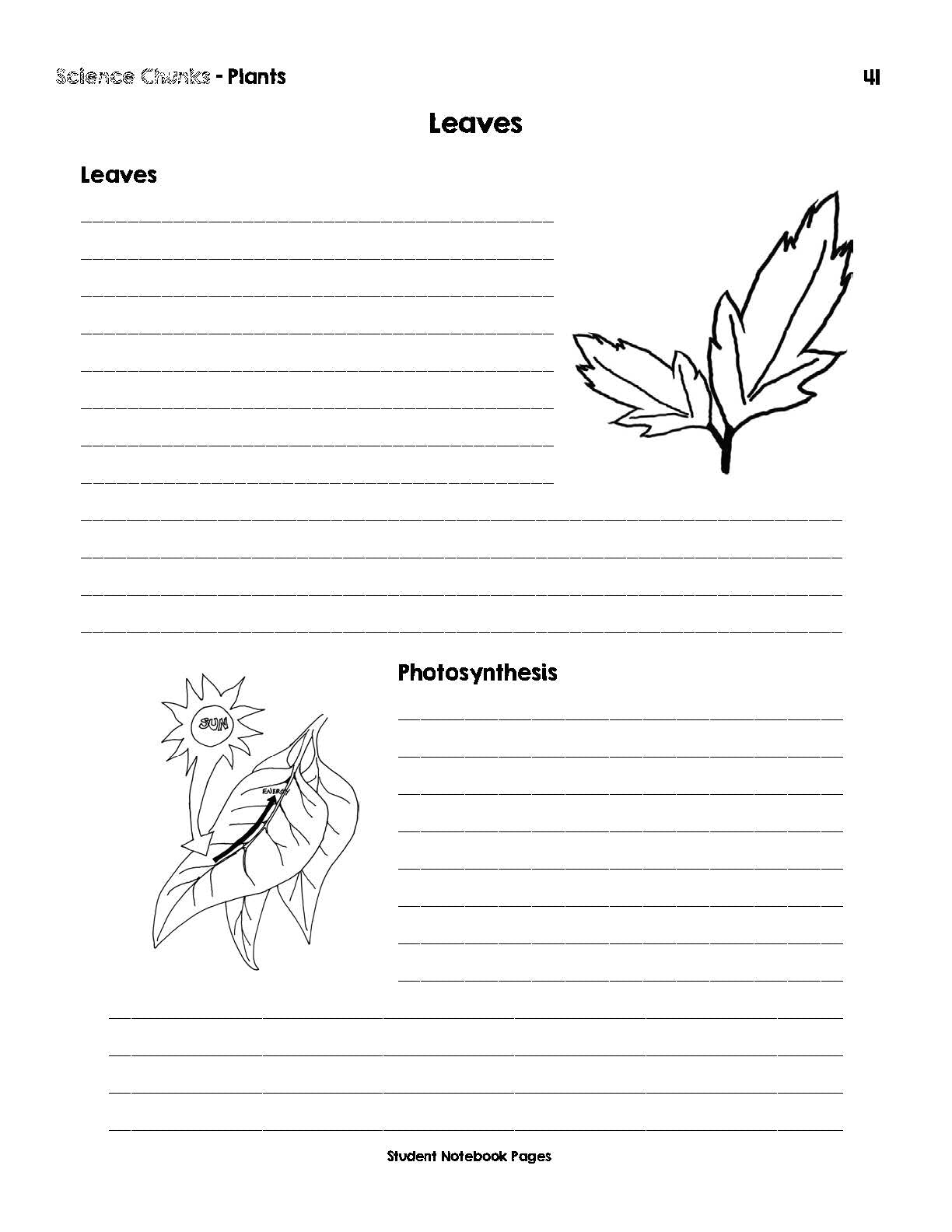 Science Chunks Plants Unit | Elemental Science