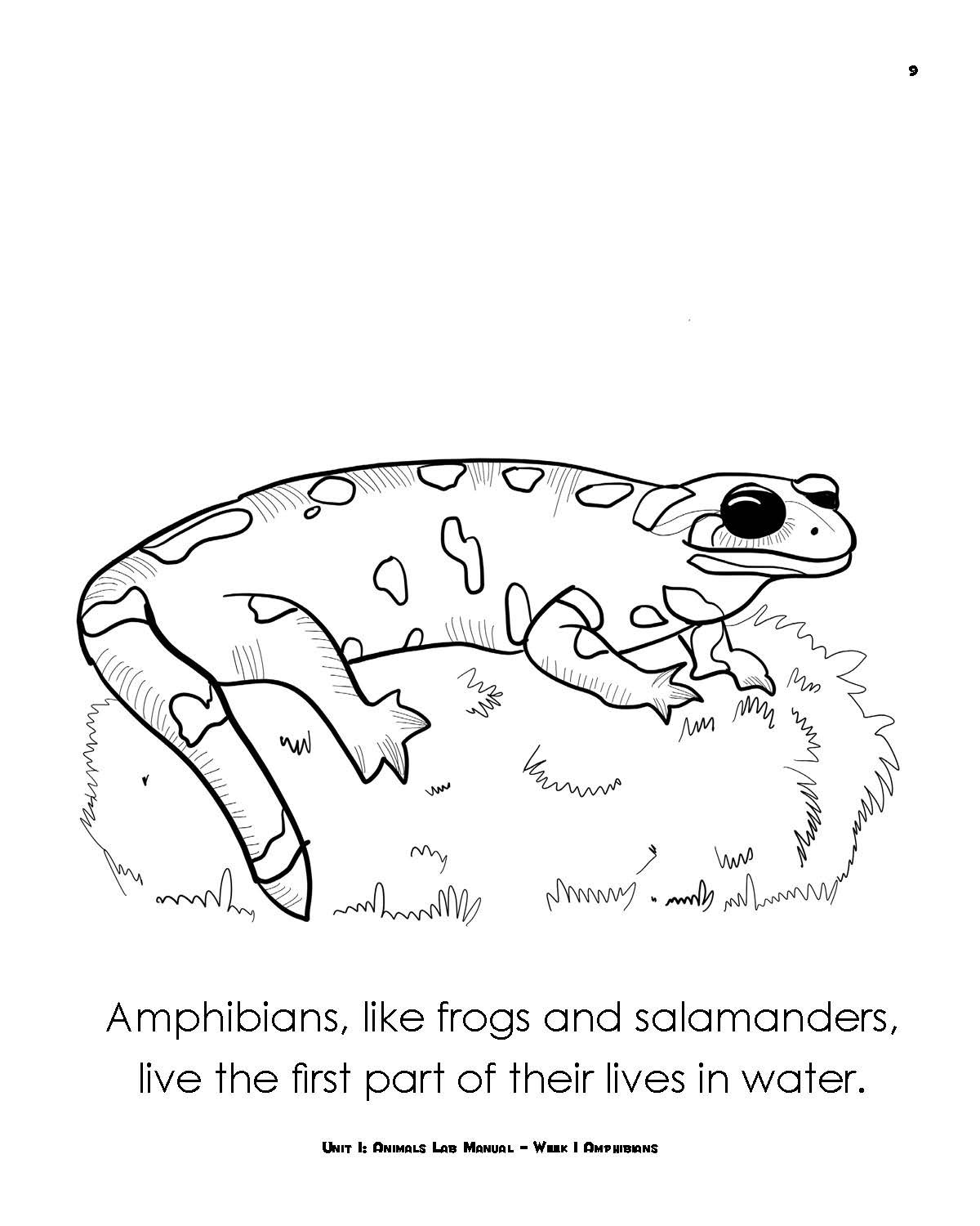 Summer's Lab eBook Combo | Elemental Science