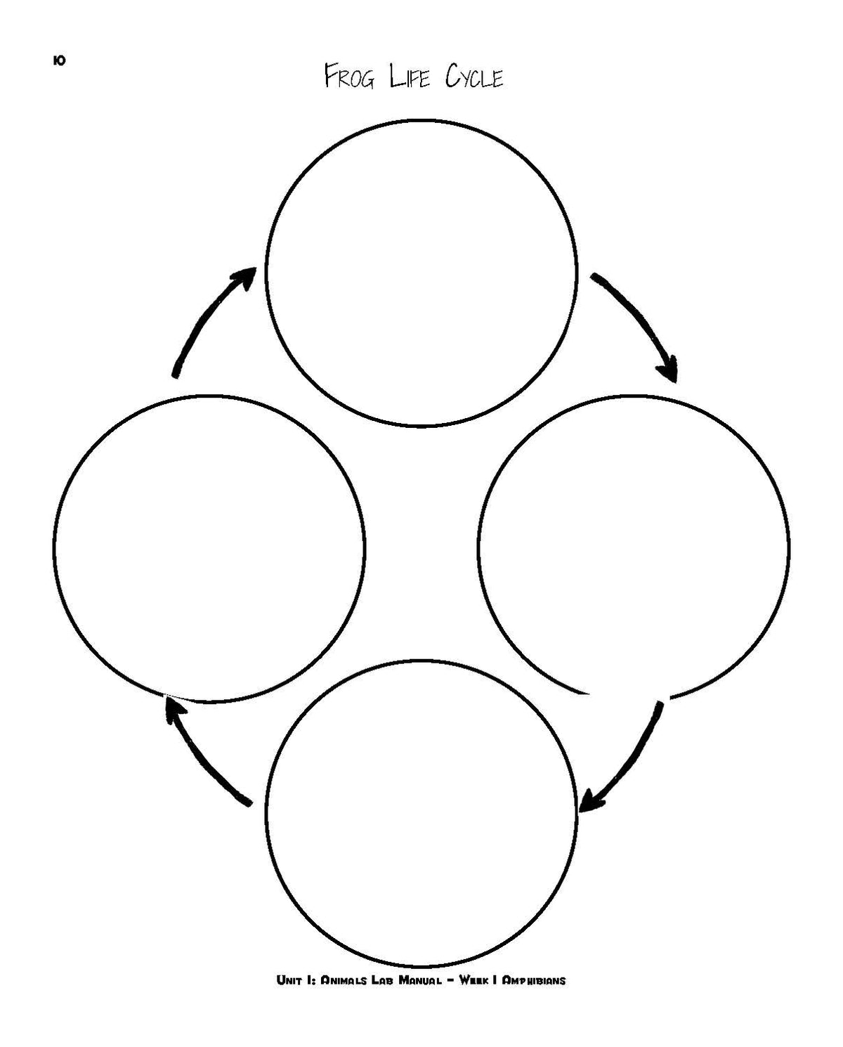 Summer's Lab Student Lab Manual | Elemental Science