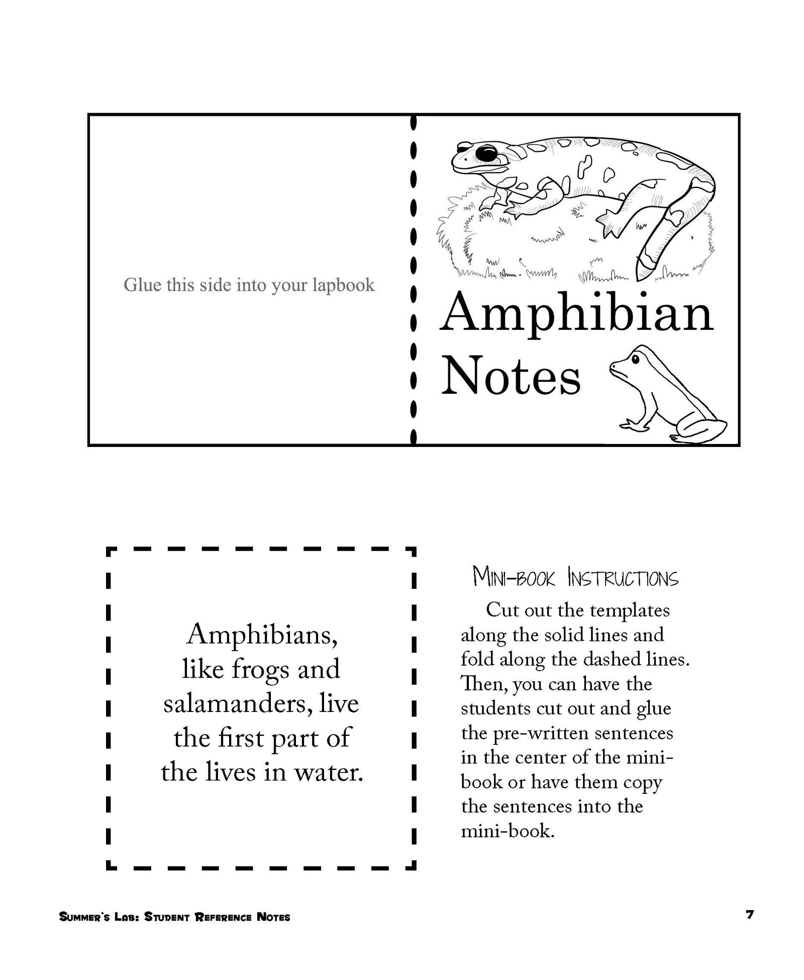 Summer's Lab Reference Notes | Elemental Science