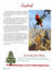 Activities for Christmas Science