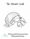 Hermit Crab Lesson {FREE Download}