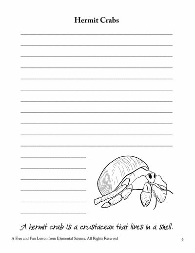 Hermit Crab Lesson {FREE Download}