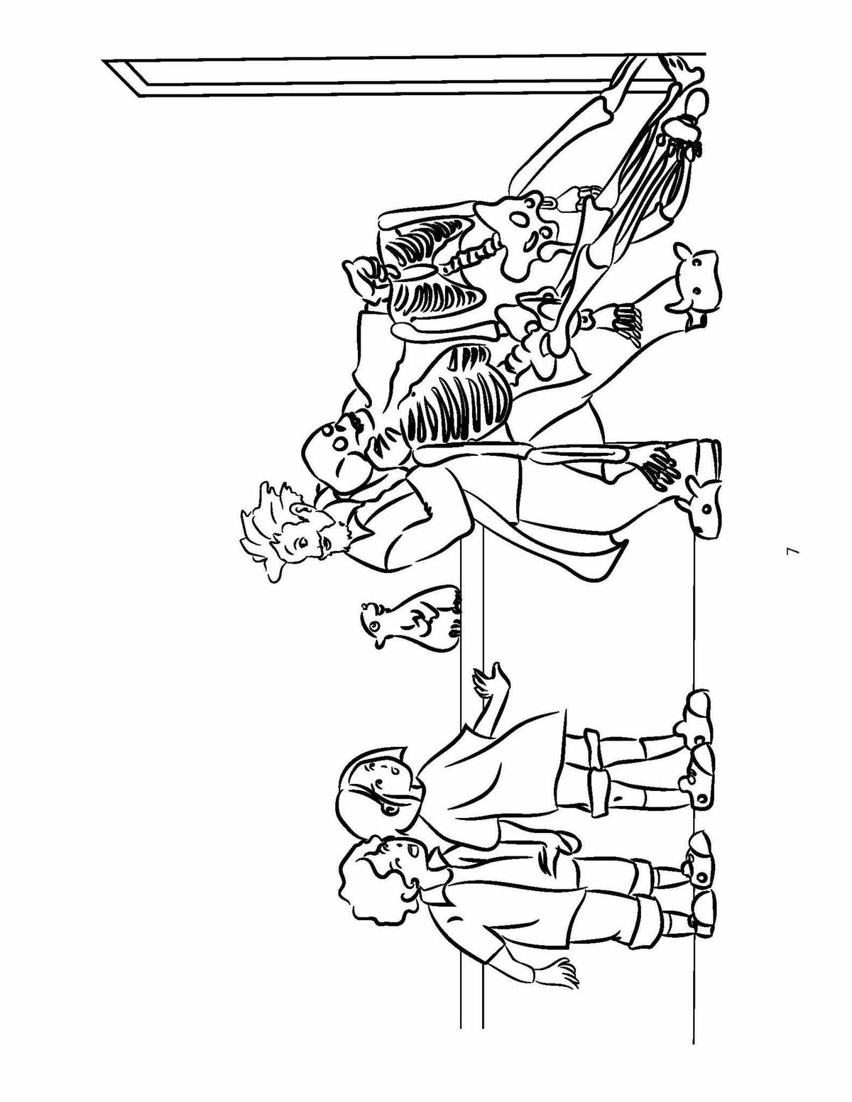 Sassafras Science Anatomy Coloring Pages by Elemental Science