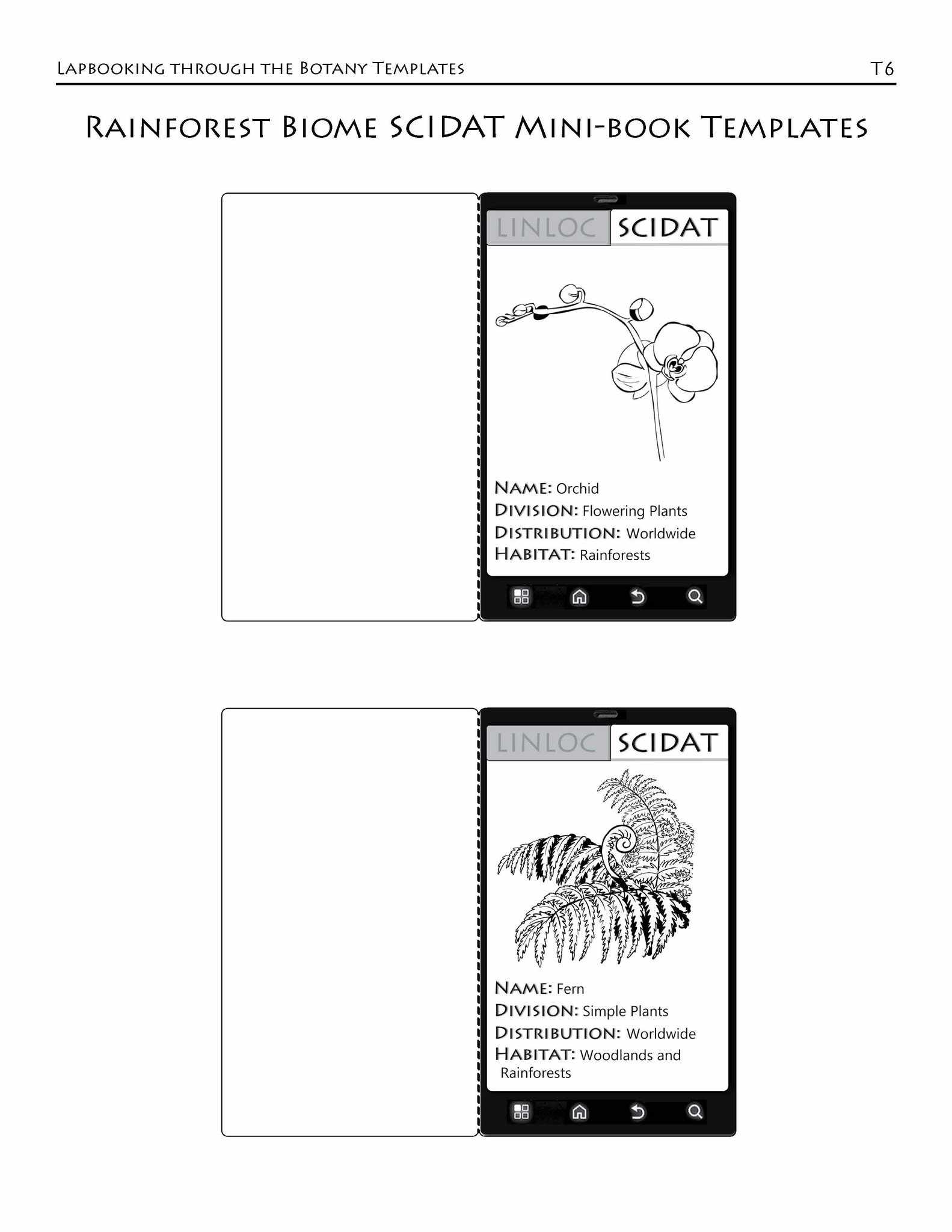 Living Books - Lapbooking Through Botany With The Sassafras Twins (eBook)