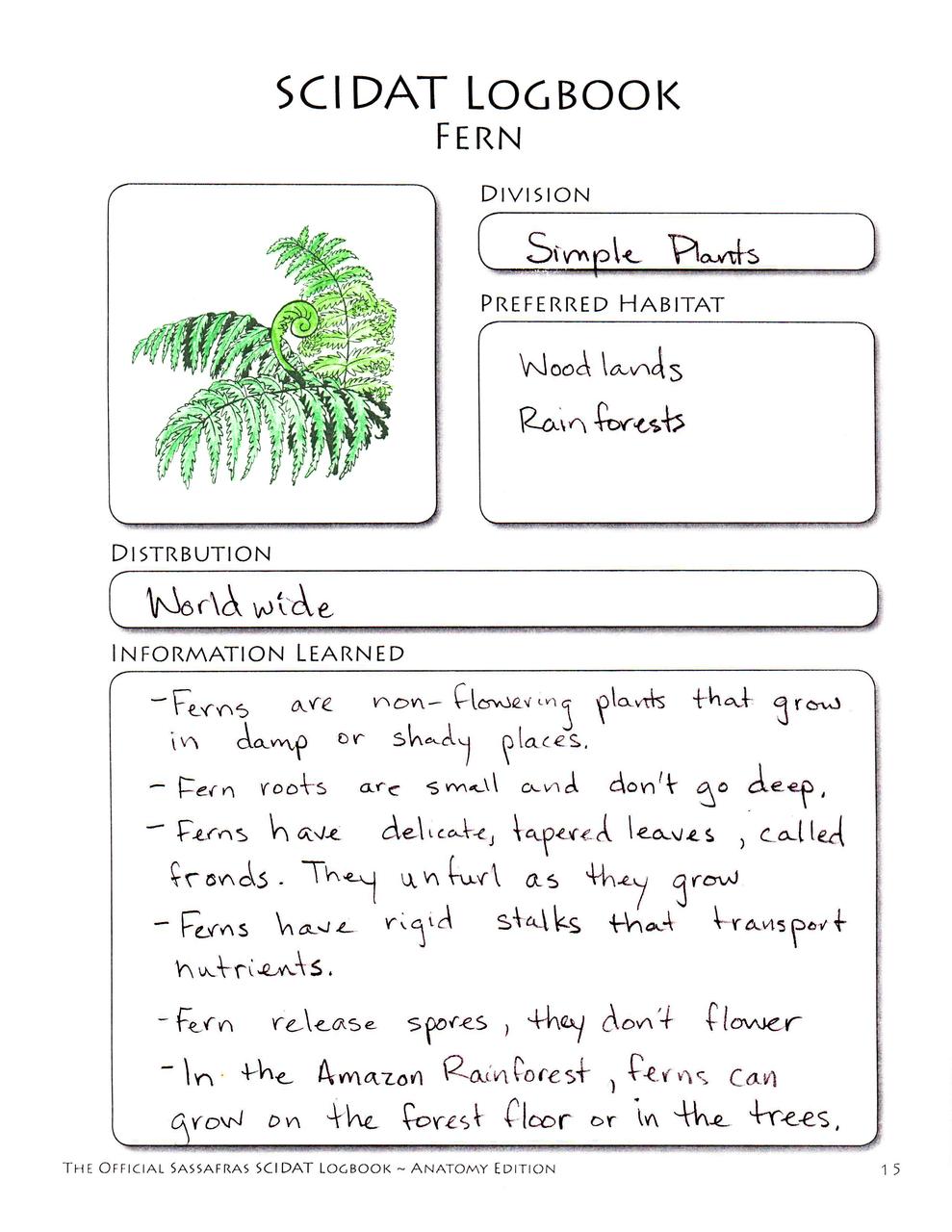 The Official Sassafras SCIDAT Logbook: Botany Edition | Elemental Science