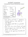 Living Books Curriculum - The Official Sassafras SCIDAT Logbook: Botany Edition