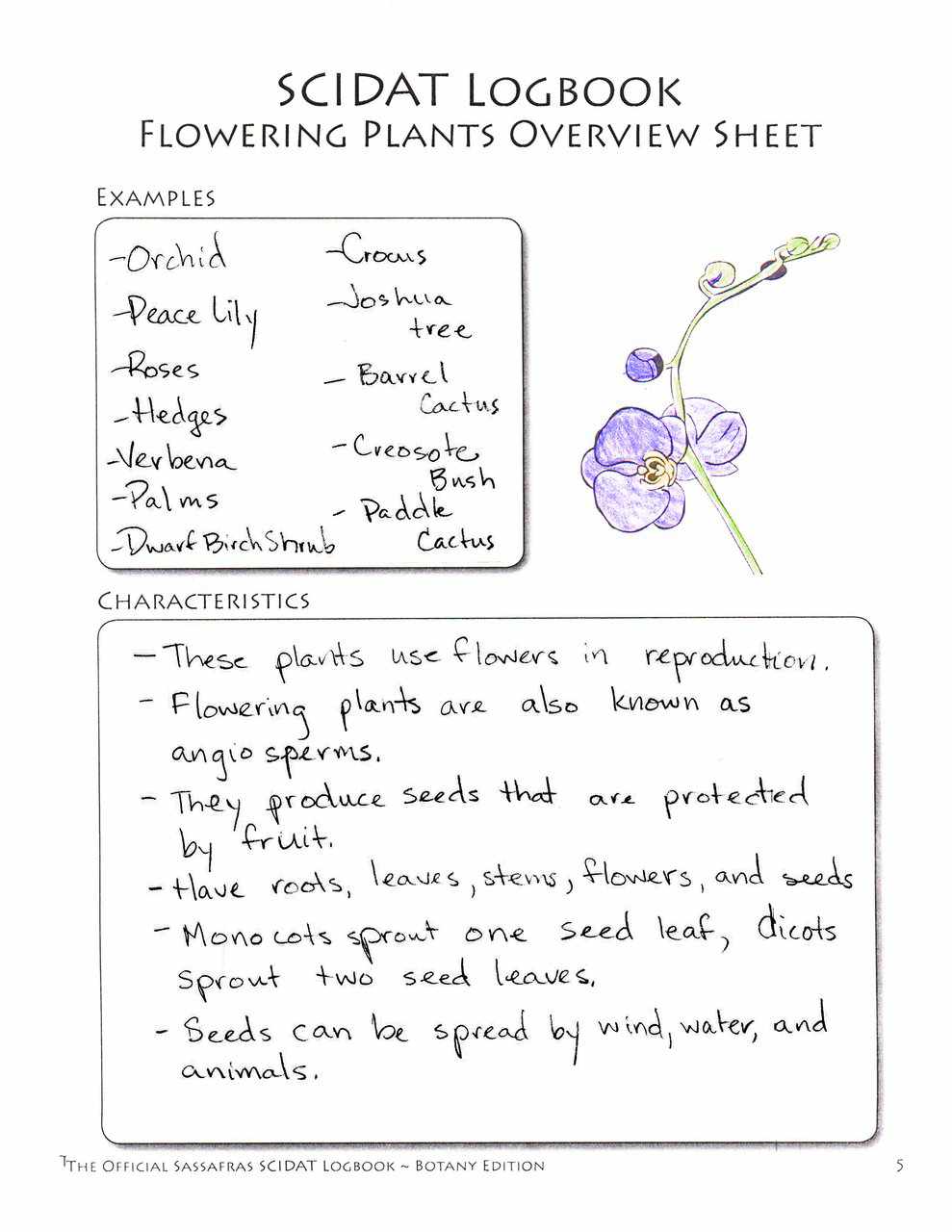 The Official Sassafras SCIDAT Logbook: Botany Edition | Elemental Science