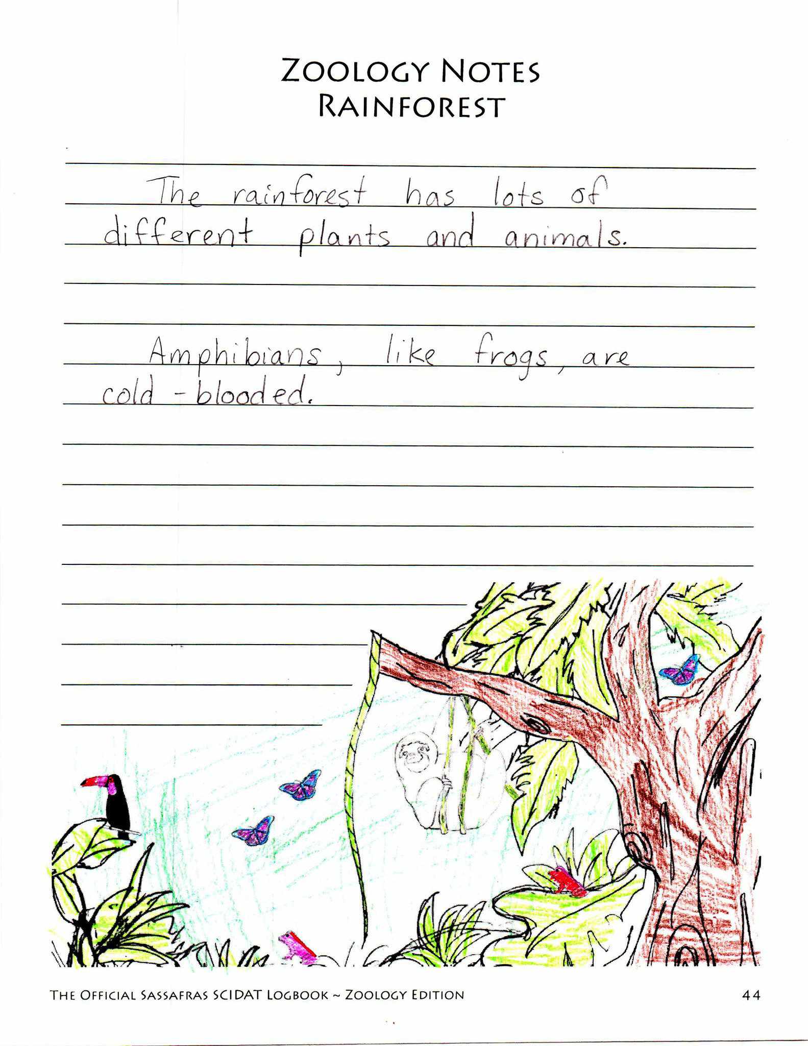 The Official Sassafras SCIDAT Logbook: Zoology Edition | Elemental Science