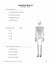 The Sassafras Guide to Anatomy | Elemental Science