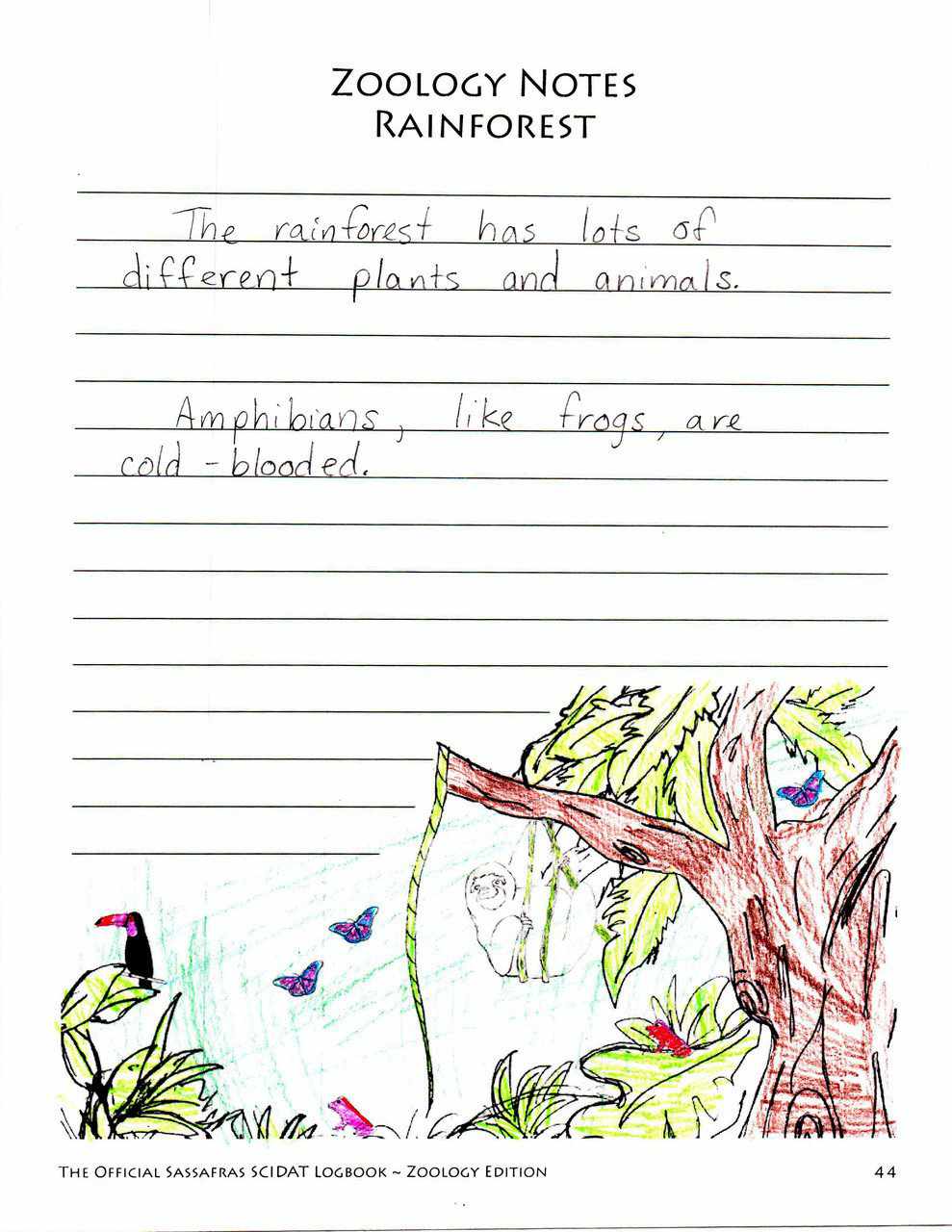 The Sassafras Science Adventures Volume 1: Zoology Printed Combo | Elemental Science