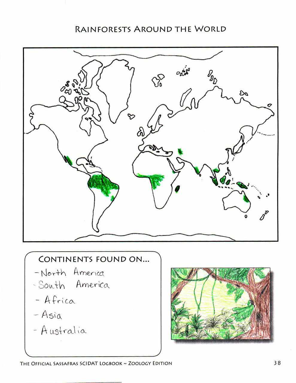 The Sassafras Science Adventures Volume 1: Zoology Printed Combo | Elemental Science